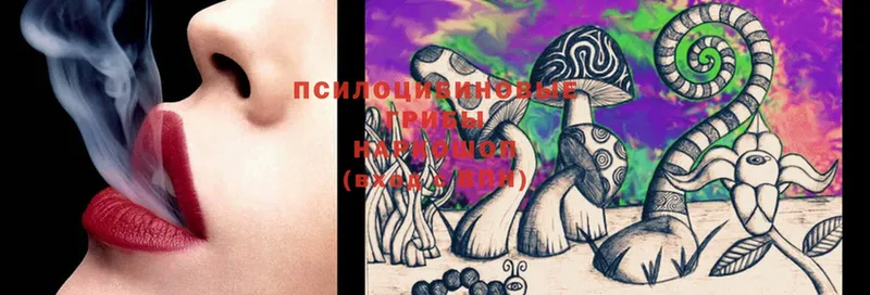 где можно купить наркотик  Краснообск  Псилоцибиновые грибы Magic Shrooms 